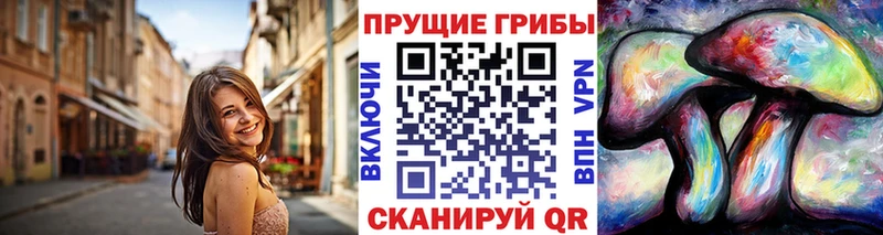 Галлюциногенные грибы Psilocybe  Ковдор 